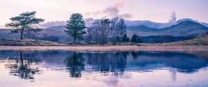Preview wallpaper trees, lake, reflection, twilight