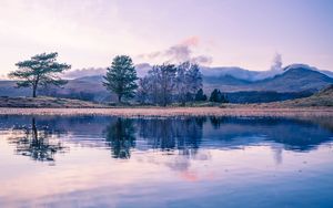 Preview wallpaper trees, lake, reflection, twilight