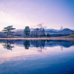 Preview wallpaper trees, lake, reflection, twilight