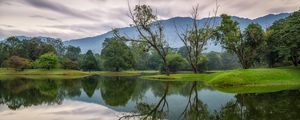 Preview wallpaper trees, lake, reflection, nature