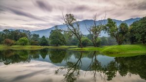 Preview wallpaper trees, lake, reflection, nature