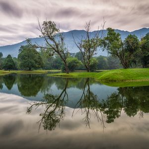 Preview wallpaper trees, lake, reflection, nature