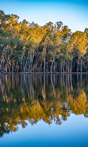 Preview wallpaper trees, lake, reflection, autumn, nature, landscape