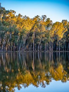 Preview wallpaper trees, lake, reflection, autumn, nature, landscape
