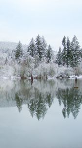 Preview wallpaper trees, lake, reflection, winter, landscape, nature