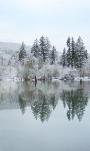 Preview wallpaper trees, lake, reflection, winter, landscape, nature