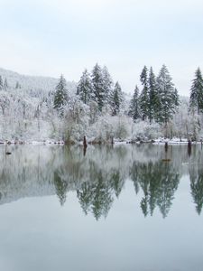 Preview wallpaper trees, lake, reflection, winter, landscape, nature