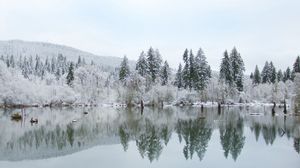 Preview wallpaper trees, lake, reflection, winter, landscape, nature