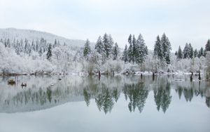 Preview wallpaper trees, lake, reflection, winter, landscape, nature