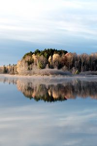 Preview wallpaper trees, lake, reflection, frost