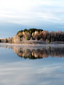 Preview wallpaper trees, lake, reflection, frost
