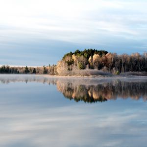 Preview wallpaper trees, lake, reflection, frost