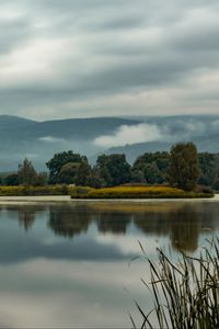 Preview wallpaper trees, lake, reflection, grass, clouds