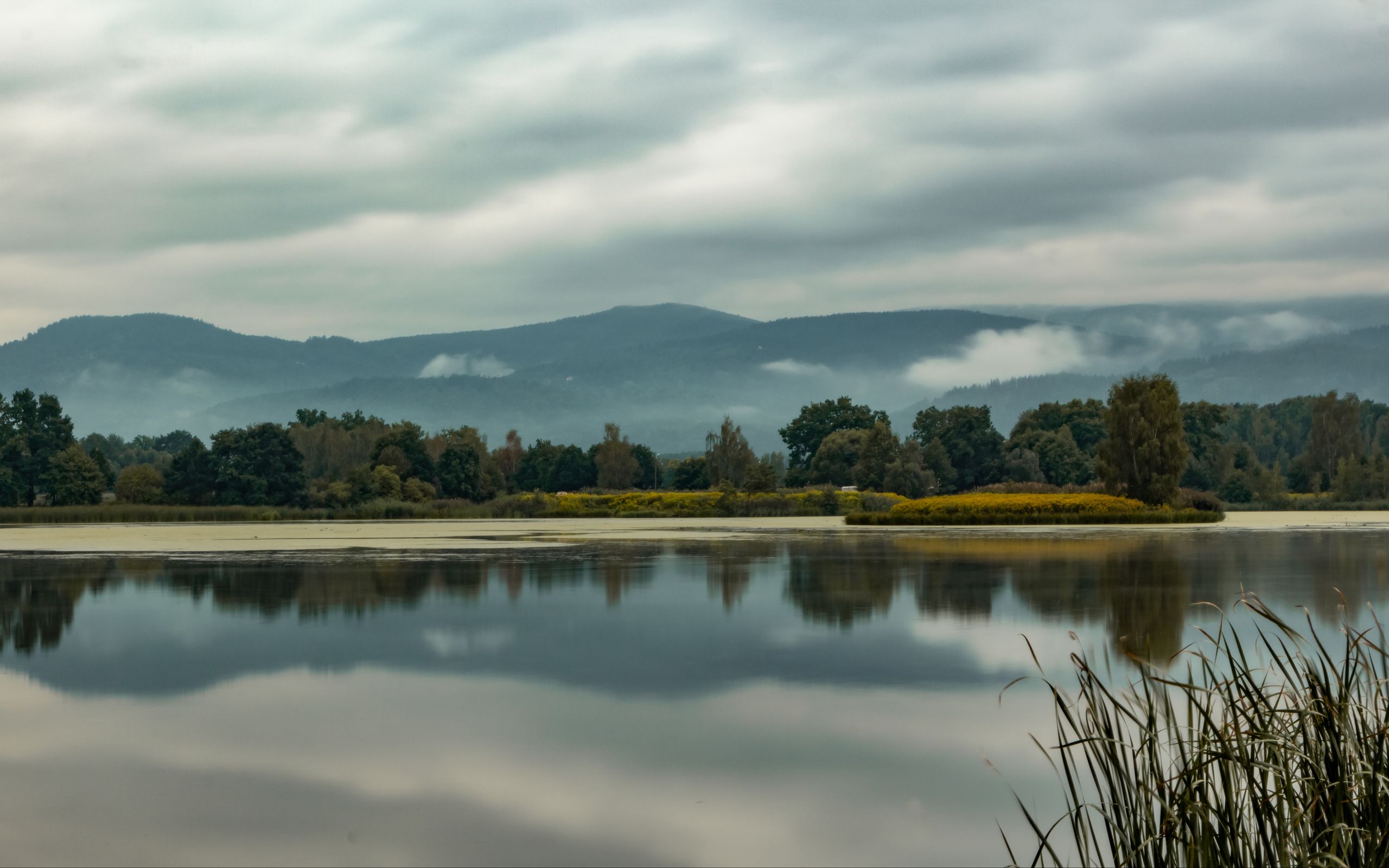 Download wallpaper 2560x1600 trees, lake, reflection, grass, clouds