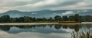 Preview wallpaper trees, lake, reflection, grass, clouds