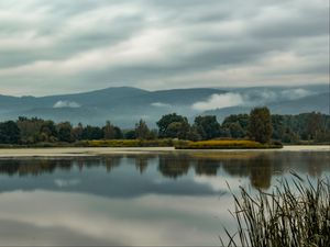 Preview wallpaper trees, lake, reflection, grass, clouds