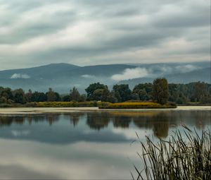 Preview wallpaper trees, lake, reflection, grass, clouds