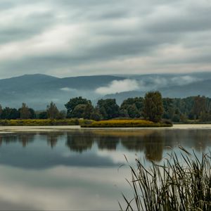 Preview wallpaper trees, lake, reflection, grass, clouds