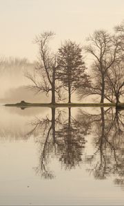 Preview wallpaper trees, lake, reflection, fog