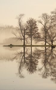 Preview wallpaper trees, lake, reflection, fog