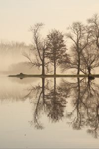 Preview wallpaper trees, lake, reflection, fog