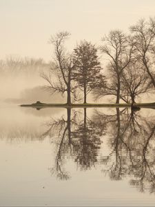 Preview wallpaper trees, lake, reflection, fog