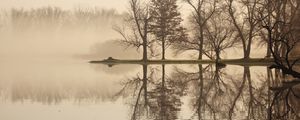 Preview wallpaper trees, lake, reflection, fog