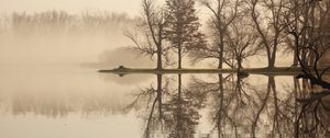 Preview wallpaper trees, lake, reflection, fog