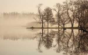 Preview wallpaper trees, lake, reflection, fog