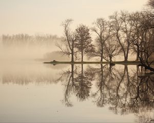 Preview wallpaper trees, lake, reflection, fog