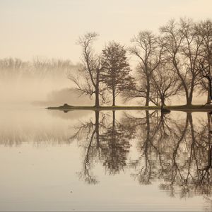 Preview wallpaper trees, lake, reflection, fog