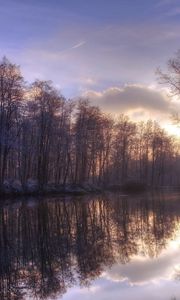 Preview wallpaper trees, lake, reflection, morning, sun