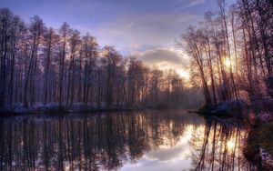 Preview wallpaper trees, lake, reflection, morning, sun