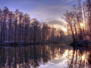 Preview wallpaper trees, lake, reflection, morning, sun