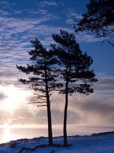 Preview wallpaper trees, lake, snow, light, clouds, steam, winter