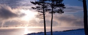 Preview wallpaper trees, lake, snow, light, clouds, steam, winter