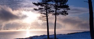 Preview wallpaper trees, lake, snow, light, clouds, steam, winter