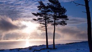 Preview wallpaper trees, lake, snow, light, clouds, steam, winter