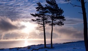 Preview wallpaper trees, lake, snow, light, clouds, steam, winter