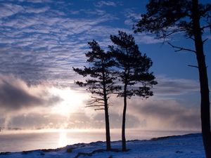 Preview wallpaper trees, lake, snow, light, clouds, steam, winter