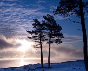 Preview wallpaper trees, lake, snow, light, clouds, steam, winter