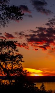 Preview wallpaper trees, lake, sunset, clouds, sky, evening