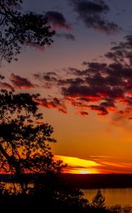 Preview wallpaper trees, lake, sunset, clouds, sky, evening