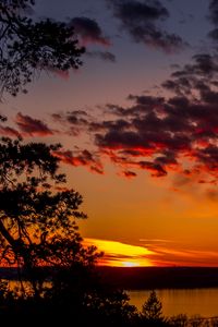 Preview wallpaper trees, lake, sunset, clouds, sky, evening