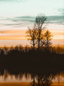 Preview wallpaper trees, lake, sunset, dusk