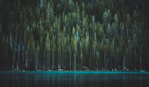 Preview wallpaper trees, lake, tenaya lake, yosemite national park, united states