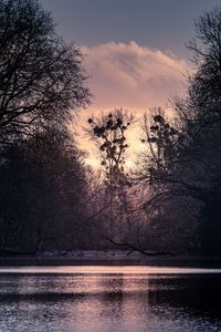 Preview wallpaper trees, lake, twilight, landscape