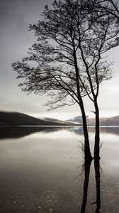 Preview wallpaper trees, lake, water, reflection, hills, nature