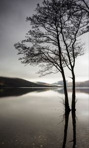 Preview wallpaper trees, lake, water, reflection, hills, nature