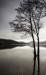 Preview wallpaper trees, lake, water, reflection, hills, nature